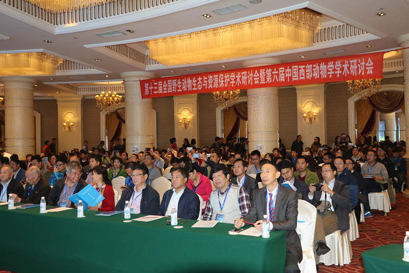 IMG_1927_副本.jpg IMG_1927_副本.jpg